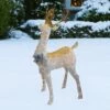 Northlight 48" White and Gold Lighted Standing Buck Outdoor Christmas Decor -Outdoor Lighting Official Shop unnamed file 1179