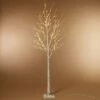 Gerson International 6-Foot Birch Bark Effect Lighted Tree with LED Warm White Lights