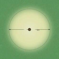 John Timberland Low Voltage 68" High LED Landscape Light 14 John Timberland Low Voltage 68" High LED Landscape Light -Outdoor Lighting Official Shop unnamed file 1366