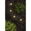 15 Pucks Seasons Mini LED Acrylic Landscape Lights Black - Enbrighten -Outdoor Lighting Official Shop unnamed file 1405