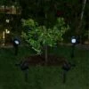 Alpine Corporation Set of 4 Outdoor Solar Powered Pathway LED Light Stakes Silver/Black -Outdoor Lighting Official Shop unnamed file 1543