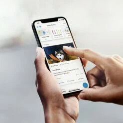 Smart Lighting Floodlight Wired - Ring Black -Outdoor Lighting Official Shop unnamed file 164