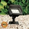 Super Duty Eastham 8" High Black LED Landscape Flood Light -Outdoor Lighting Official Shop unnamed file 2099