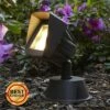 Super Duty Eastham 8" High Bronze LED Landscape Flood Light -Outdoor Lighting Official Shop unnamed file 2106
