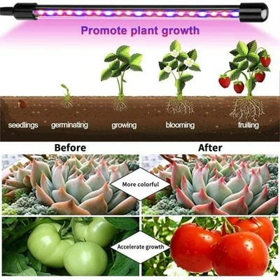 MPM 10 Dimmable Levels 4 Head Timing Grow Light with 3 Modes Timing Function, Adjustable Gooseneck, Red/Blue Spectrum, With Remote Control, For Indoor 6 MPM 10 Dimmable Levels 4 Head Timing Grow Light with 3 Modes Timing Function, Adjustable Gooseneck, Red/Blue Spectrum, With Remote Control, For Indoor - Image 4