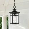 Franklin Iron Works Modern Outdoor Hanging Light Matte Black 13 3/4" Clear Seedy Glass Exterior House Porch Patio Outside Deck 2 Franklin Iron Works Modern Outdoor Hanging Light Matte Black 13 3/4" Clear Seedy Glass Exterior House Porch Patio Outside Deck -Outdoor Lighting Official Shop unnamed file 2322