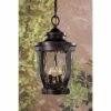 Minka Lavery Merrimack Collection 17 1/2" High Outdoor Hanging Light -Outdoor Lighting Official Shop unnamed file 2337