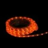 Northlight FITCO Orange LED Christmas Outdoor Linear Tape Lighting -30 ft Clear Tube -Outdoor Lighting Official Shop unnamed file 2723