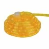 Northlight Incandescent Flexible Outdoor Christmas Rope Lights Clear - 18' Gold -Outdoor Lighting Official Shop unnamed file 2725