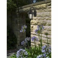 John Timberland Traditional Outdoor Wall Light Fixture Black Carriage Style 18 1/2" Clear Seedy Glass for Exterior House Porch -Outdoor Lighting Official Shop unnamed file 3071