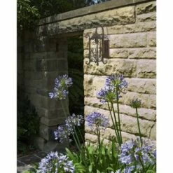 John Timberland Rustic Outdoor Wall Light Fixture Dark Walnut Iron Twists 18 1/2" Champagne Hammered Glass for Exterior House Deck 17 John Timberland Rustic Outdoor Wall Light Fixture Dark Walnut Iron Twists 18 1/2" Champagne Hammered Glass for Exterior House Deck -Outdoor Lighting Official Shop unnamed file 3228