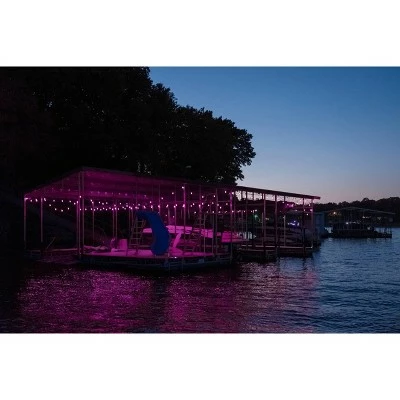 12ct Seasons Wi-Fi Classic Café Outdoor String Lights - Black Wire - Enbrighten 6 12ct Seasons Wi-Fi Classic Café Outdoor String Lights - Black Wire - Enbrighten - Image 4