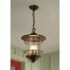 Franklin Iron Works Country Cottage Outdoor Ceiling Light Hanging Lantern Bronze 19" Clear Seedy Glass for Exterior Porch Patio