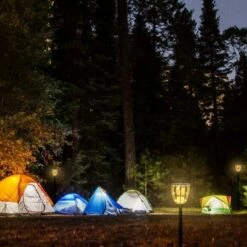 Techko Maid Solar Outdoor Torch Lights - Techko 21 Techko Maid Solar Outdoor Torch Lights - Techko -Outdoor Lighting Official Shop unnamed file 661